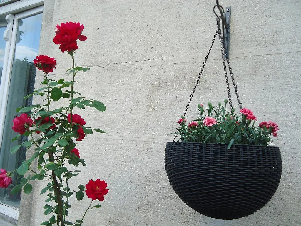 Apartment Jafa Tbilisi